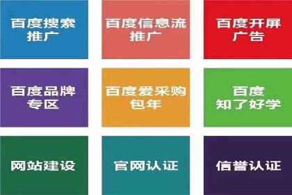 揭秘成功之道：竞价推广公司经典案例分享